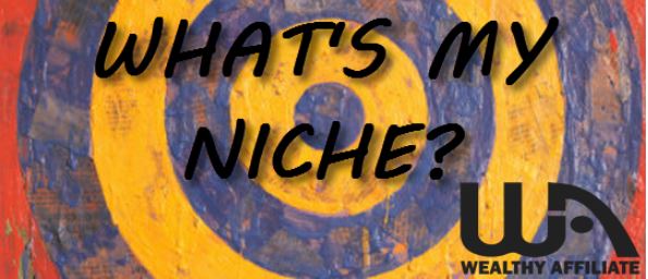 It all starts with a niche - what's my niche