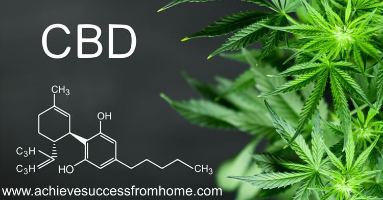 What is CTFO - Hemp CBD oil plant