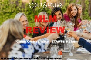 Scout and Cellar MLM Review - CLEAN crafted wines, LESS headaches
