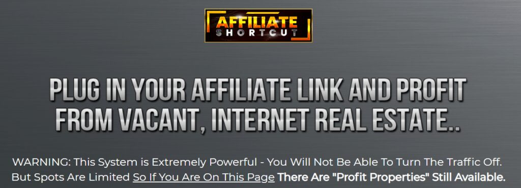 Affiliate Shortcut plugin and profit