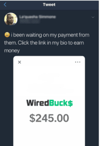 wiredbucks fake payments