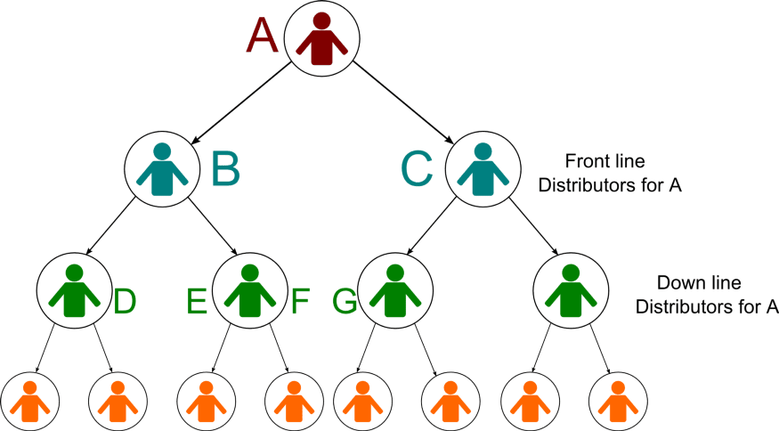 HashFinders Review - Binary payment structure