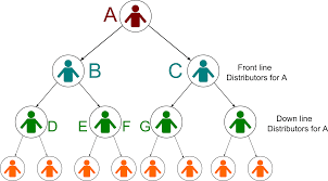 iquandex review - Binary payment structure