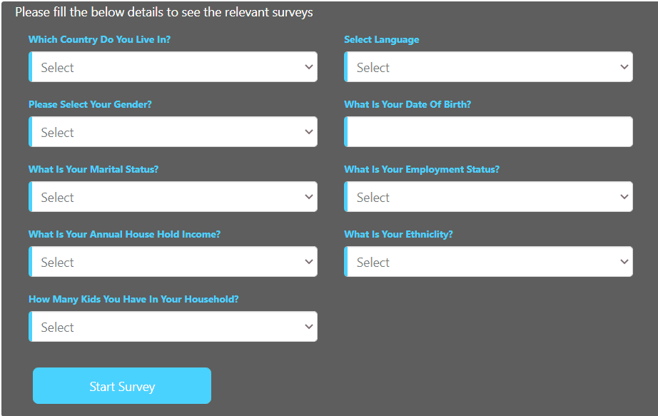 Opinion Inn Review - Survey questionaire