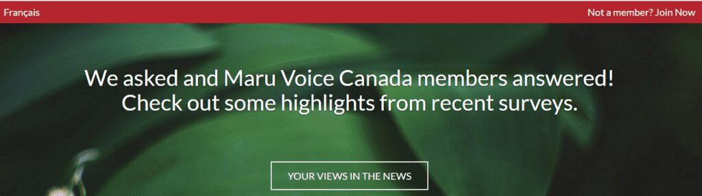 Maru Voice Canada Review - Maru Vo