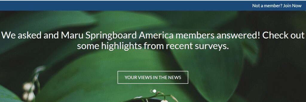 what is the springboard america scam - login