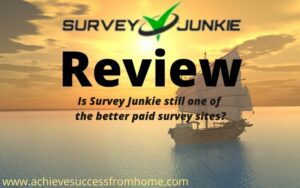 what is the survey junkie review