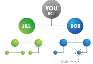 The Usana Binary plan