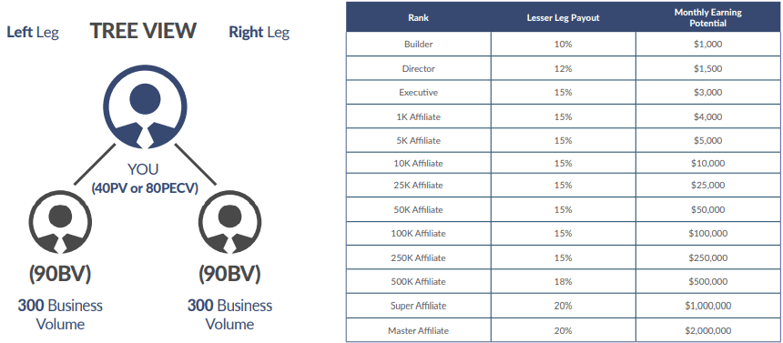 my daily choice ranks and binary structure