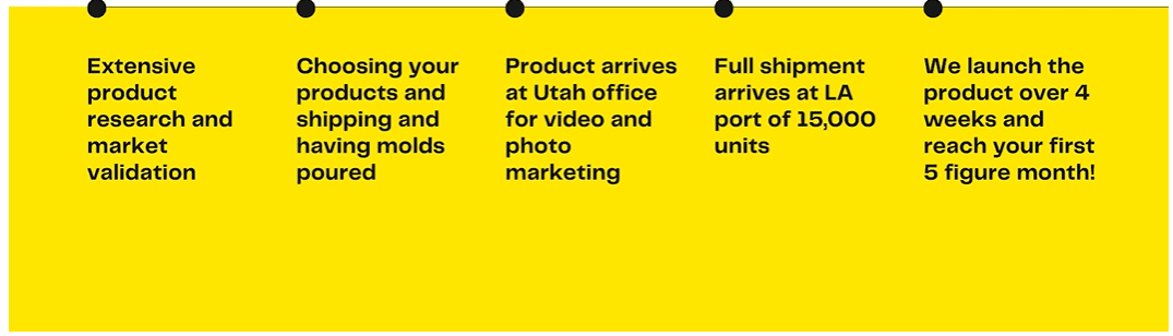 Apical ecommerce review - How it works